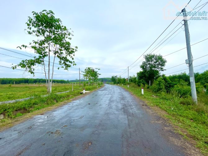 Bán đất 2.059m2 full thổ cư mặt tiền Tỉnh Lộ 8B, Xã Khánh Bình - 5