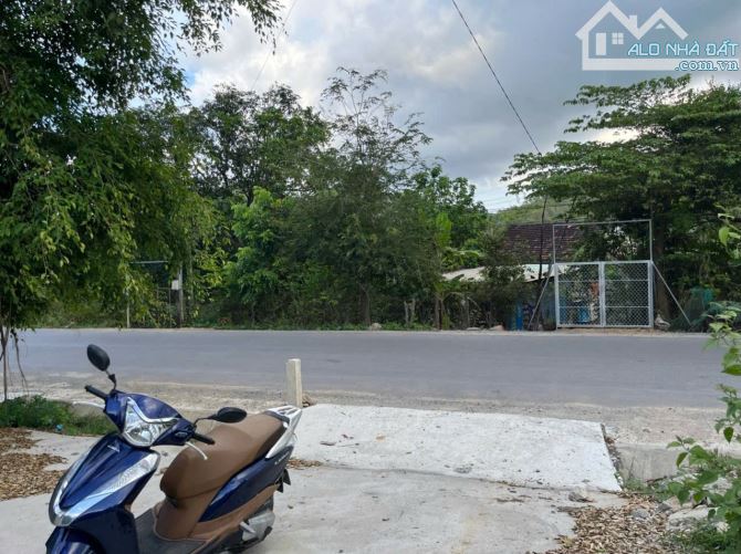 Tổng Hợp Đất Nền Vừa Ở Vừa Kinh Doanh Ở Phước Đồng Nha Trang tháng 5/2025 - 5