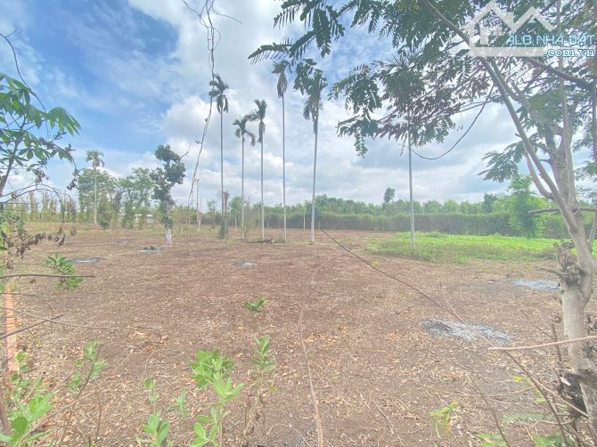 💥  Gần 1 Sào đất Mặt tiền bê tông Thôn Tân Hưng - Ea Kao - BMT. 1,2 Tỷ - 5