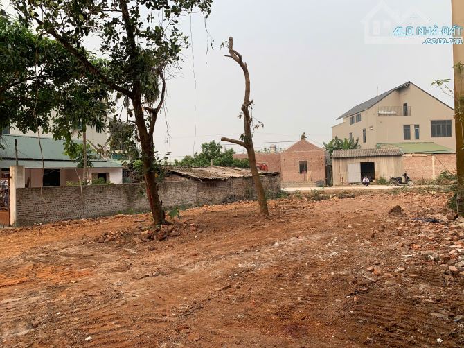 BÁN 500M2 TẠI CẤN THƯỢNG, CẤN HỮU ĐƯỜNG THÔNG CÓ 3 MẶT THOÁNG DỄ TÁCH THỬA - 5