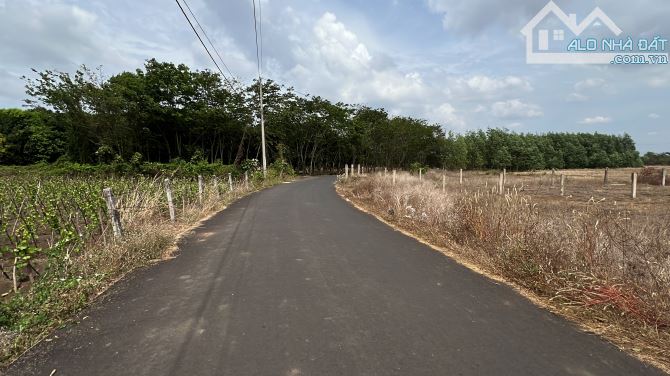 BRVT - Long Tân - Long Đất - 1022m2 - 1ty55 - 6