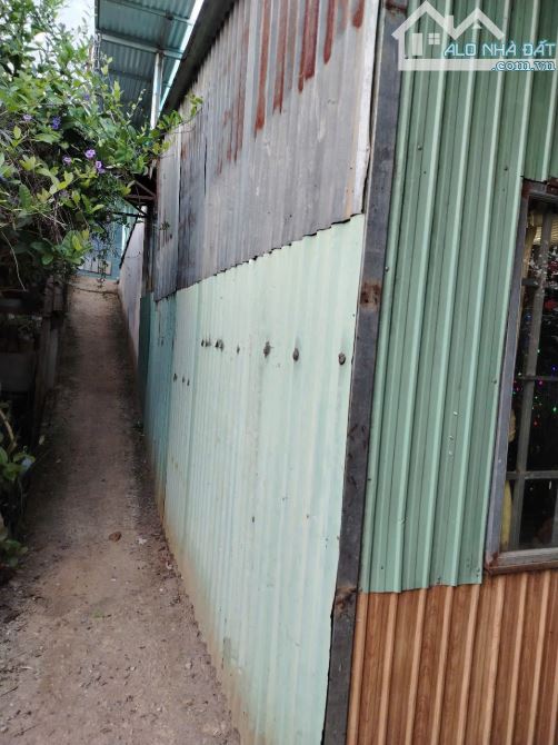 BÁN LÔ ĐẤT ĐẸP ĐƯỜNG KIM ĐỒNG – PHƯỜNG 6, TRUNG TÂM TP. ĐÀ LẠT 📍 - 6