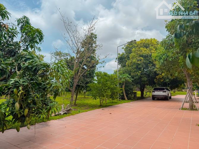 BIỆT THỰ VƯỜN GẦN 1HA, GẦN BIỂN VÀ TP.BÀ RỊA, SẴN THỔ CƯ VÀ VƯỜN CÂY ĂN TRÁI - 6