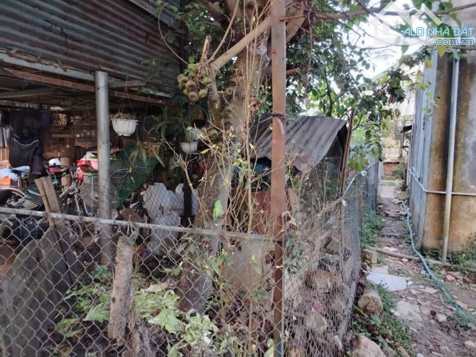 BÁN LÔ ĐẤT ĐẸP ĐƯỜNG KIM ĐỒNG – PHƯỜNG 6, TRUNG TÂM TP. ĐÀ LẠT 📍 - 7