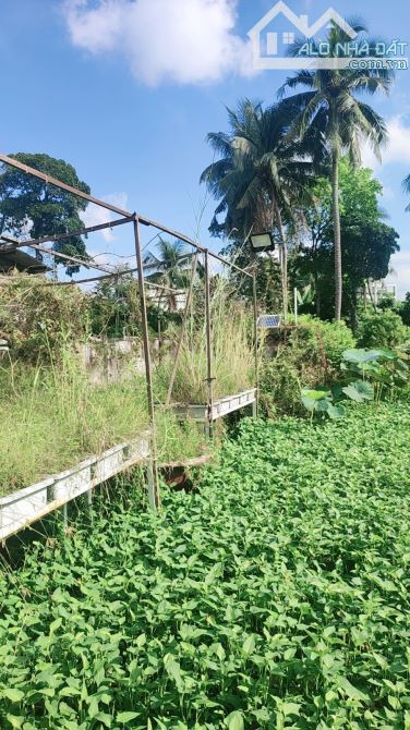 BÁN NHÀ C4 - CHÍNH CHỦ - 735M2 - NGANG KHỦNG 13M - THẠNH LỘC - QUẬN 12.   CHỈ 18 TỶ. - 7