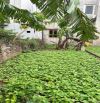 RẺ NHẤT GIA LÂM - 60m2 - BÁN ĐẤT TRÂU QUỲ - NGÕ NÔNG - DÂN CƯ VĂN MINH - NHỈNH 3tỷ