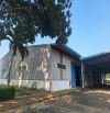 XT261 Cho thuê nhà xưởng Sản Xuất trong KCN TẠI Biên Hoà. Đồng Nai.dt :1390m2