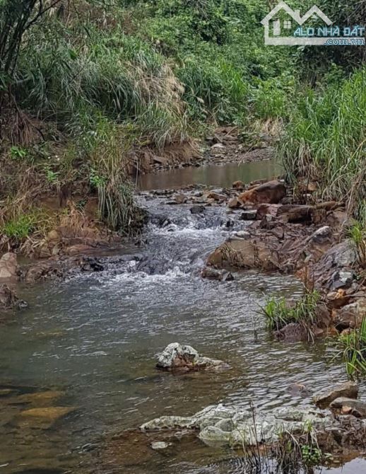 🌿 BÁN LÔ ĐẤT RỘNG 40HA TẠI LƯƠNG SƠN – NHA TRANG