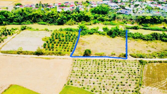 SIÊU PHẦM ĐẤT VƯỜN NGAY DIÊN ĐỒNG - DIÊN KHÁNH giáp Sông Cái