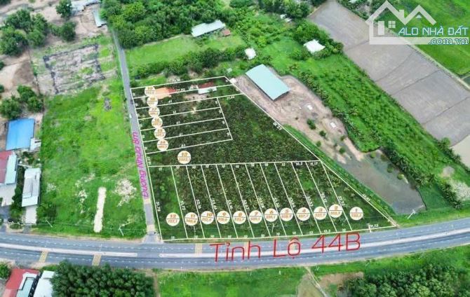 Bán 18 lô đất mặt tiền TL44B giá F0 chỉ 2,55 tỷ - 3,2 tỷ /lô tùy vị trí - TT Phước Hải