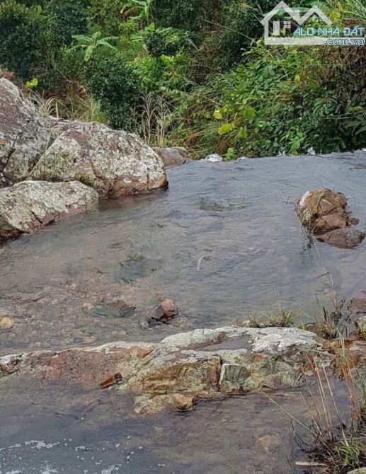 🌿 BÁN LÔ ĐẤT RỘNG 40HA TẠI LƯƠNG SƠN – NHA TRANG - 10