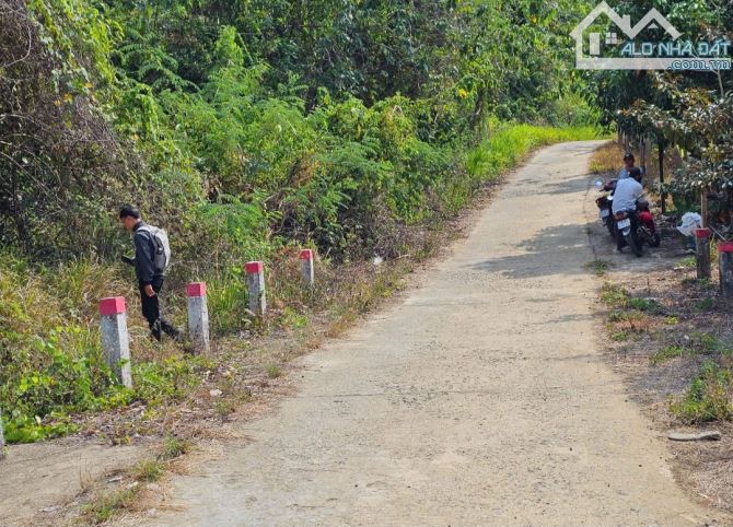 🌿 BÁN LÔ ĐẤT RỘNG 40HA TẠI LƯƠNG SƠN – NHA TRANG - 11