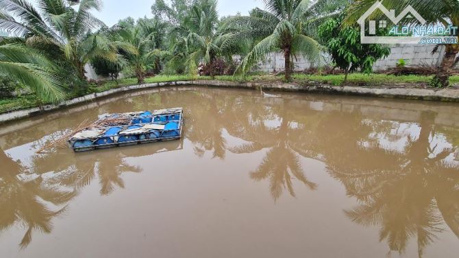 BÁN ĐẤT - ĐT 830 - BẾN LỨC - LONG AN - 7900M2  - NGANG 60 X 130M - CHỈ 69 TỈ - 1