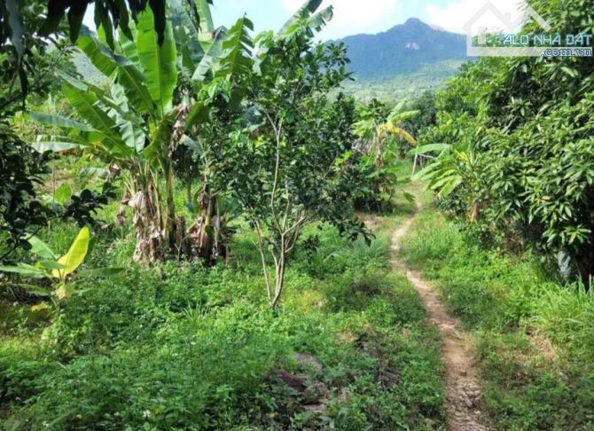 🌿 BÁN LÔ ĐẤT RỘNG 40HA TẠI LƯƠNG SƠN – NHA TRANG - 1