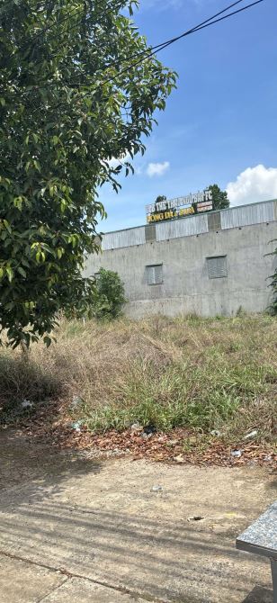 Bán Mảnh Đất Mặt Tiền Hồ Văn Huê, dt 10,5 x 43m SH Thổ Cư, Giá 7, 9 tỷ Biên Hòa, Đồng Nai - 1