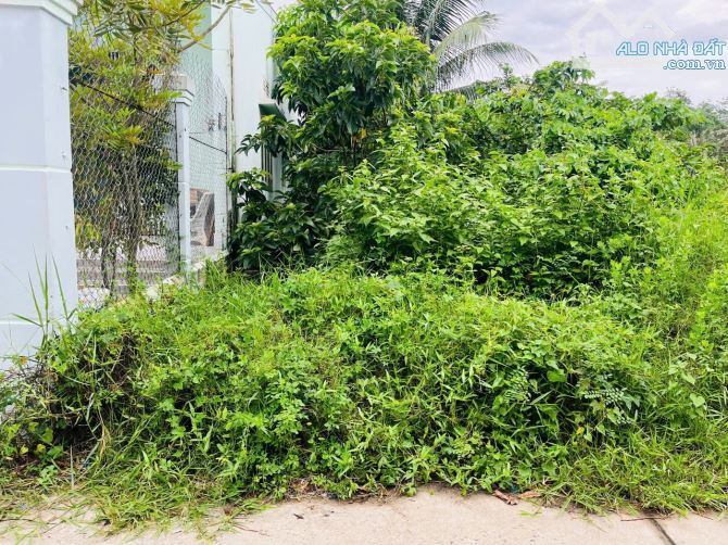 🌳 Cần bán đất nhánh đường PHAN ĐÌNH PHÙNG ( PHÚ DE ), đường đanl xe 7 chổ ra vào.  👍 Vị - 1