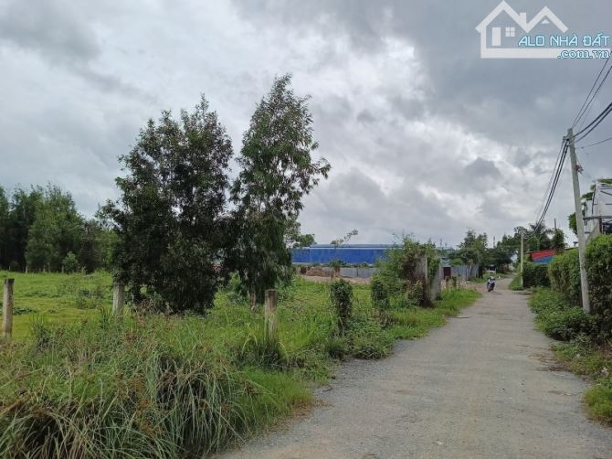 BÁN LÔ ĐẤT VƯỜN 1032M2- VĨNH LỘC B-BÌNH CHÁNH-GIÁ ĐÀU TƯ CHO ANH CHỊ Ạ - 1