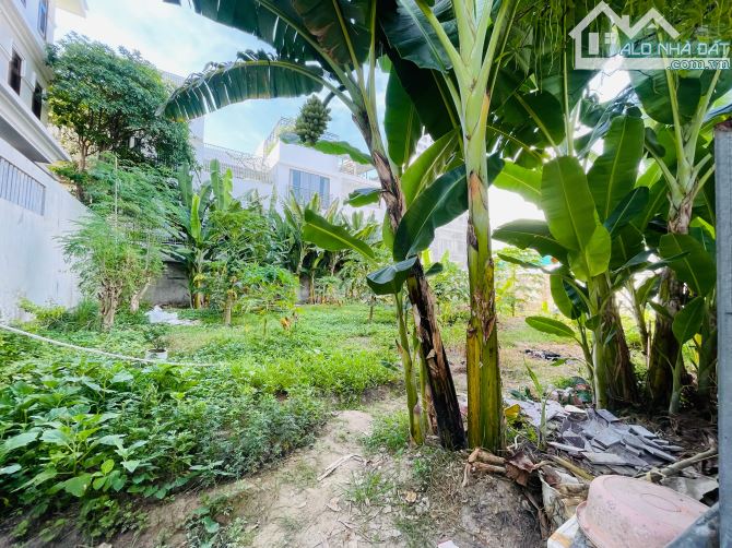TỔNG HỢP Bán lô biệt thự đường V1 khu VIP VCN Phước Hải, Nha Trang giá rẻ nhất thị trường - 1