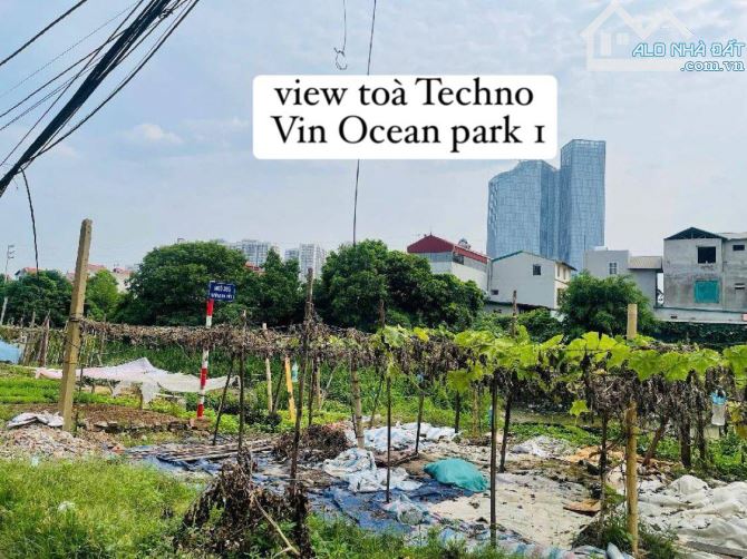 Bán đất Đa Tốn Gia Lâm - diện tích rộng xây nhà vườn, đối diện Vin Ocean park 1 - 1