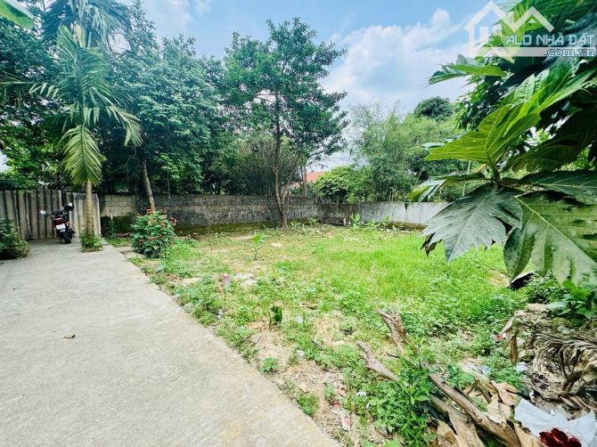 💥 MỞ BÁN 3 LÔ LÝ NAM ĐỂ ĐẸP - OTO TẬN NƠI - CẠNH MT LÊ DUẪN - 1