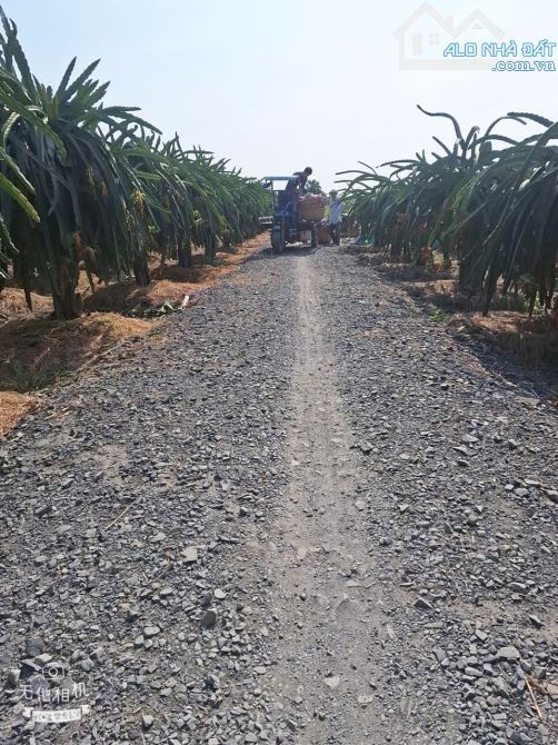 ✅ Bán đất thổ đường đá ôtô 4 chổ thuộc Ấp Cầu Đôi , An Lục Long , Châu Thành _ DT: 5x30m2 - 1
