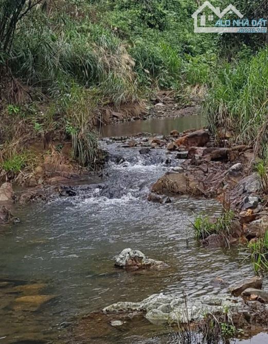 🌿 BÁN LÔ ĐẤT RỘNG 40HA TẠI LƯƠNG SƠN – NHA TRANG - 12