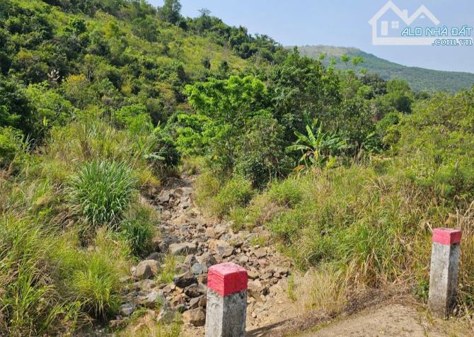 🌿 BÁN LÔ ĐẤT RỘNG 40HA TẠI LƯƠNG SƠN – NHA TRANG - 13