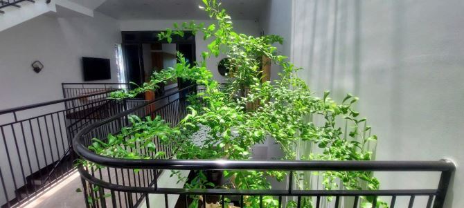 Bán nhà biệt thự trung tâm Kiến Thụy, Diện tích 150m2 - 13
