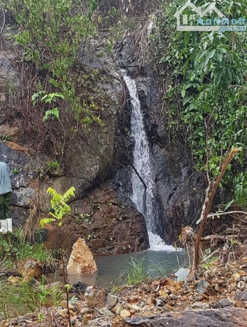 🌿 BÁN LÔ ĐẤT RỘNG 40HA TẠI LƯƠNG SƠN – NHA TRANG - 14