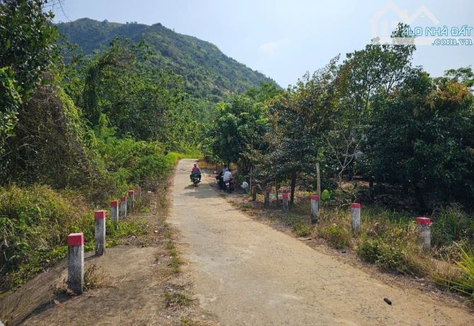 🌿 BÁN LÔ ĐẤT RỘNG 40HA TẠI LƯƠNG SƠN – NHA TRANG - 17