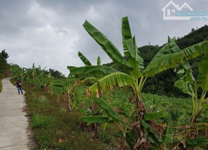 🌿 BÁN LÔ ĐẤT RỘNG 40HA TẠI LƯƠNG SƠN – NHA TRANG - 18