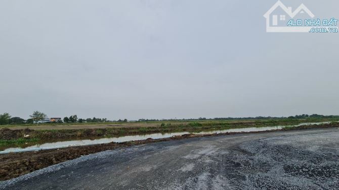 BÁN ĐẤT - ĐT 830 - BẾN LỨC - LONG AN - 7900M2  - NGANG 60 X 130M - CHỈ 69 TỈ - 2