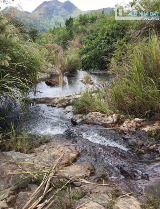 🌿 BÁN LÔ ĐẤT RỘNG 40HA TẠI LƯƠNG SƠN – NHA TRANG - 2