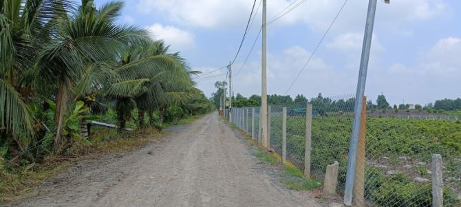 BÁN LÔ ĐẤT 1000M2- VƯỜN THƠM-BÌNH LỢI -BÌNH CHÁNH-GIỌI CHO EM XEM ĐẤT - 2