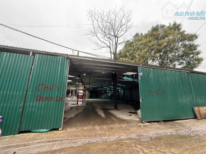 Bán đất gần ĐH Mỏ - Mặt phố siêu rộng - Vỉa hè đá bóng - Làm kho xưởng hoặc BT sân vườn - 2