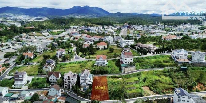 Đất biệt thự 650m2 Khu biệt thự trung tâm Tp Đà Lạt.View thung lũng_2 mặt tiền đường nhựa - 2