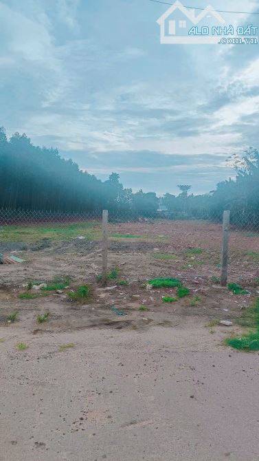 CẦN BÁN LÔ ĐẤT ĐEP KHU DÂN CƯ ĐÔNG ĐÚC NẰM SÁT BÊN TUYẾN ĐƯỜNG LỚN RA BIỂN CHỈ 8km - 3