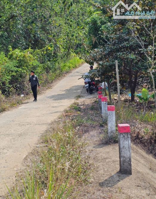 🌿 BÁN LÔ ĐẤT RỘNG 40HA TẠI LƯƠNG SƠN – NHA TRANG - 3