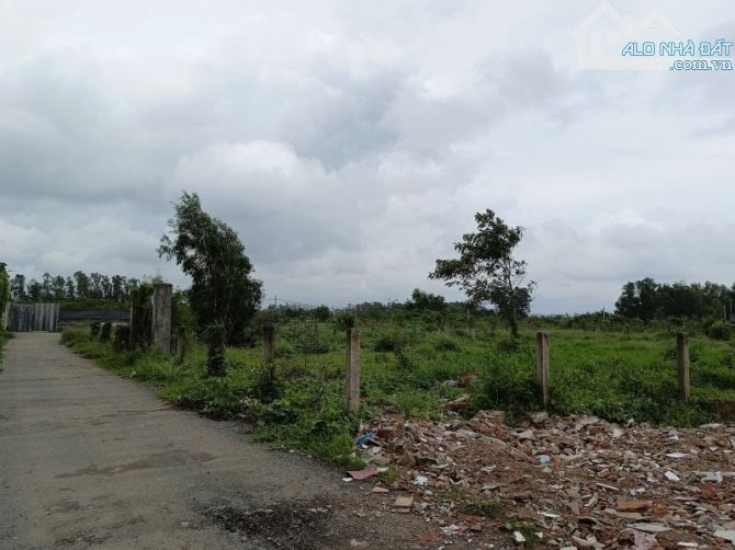 BÁN LÔ ĐẤT VƯỜN 1032M2- VĨNH LỘC B-BÌNH CHÁNH-GIÁ ĐÀU TƯ CHO ANH CHỊ Ạ - 3