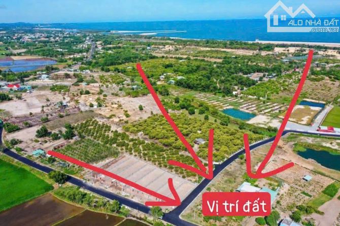 SỞ HỮU LÔ ĐẤT DUY NHẤT TRÊN THỊ TRƯỜNG VEN BIỂN VỚI GIÁ CHỈ TỪ 950TR - 3