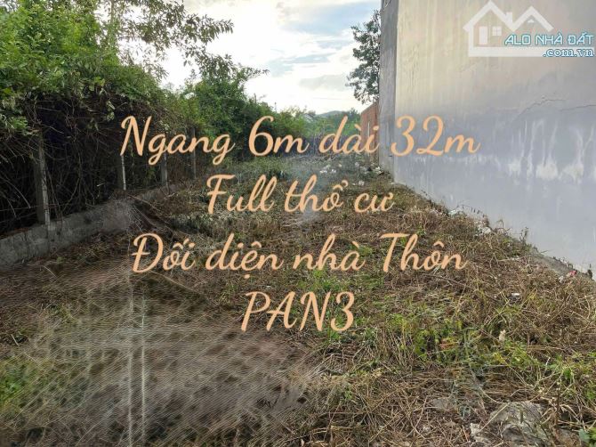 Đất dân đường oto Diên An gần đường Đất Phố phù hợp xây nhà vườn chỉ 11tr6/m2 - 3