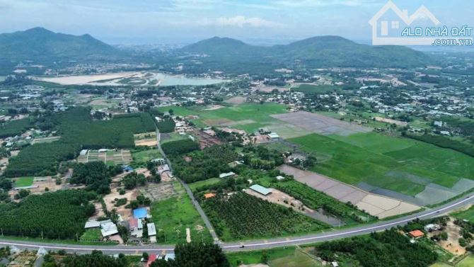 Bán 18 lô đất mặt tiền TL44B giá F0 chỉ 2,55 tỷ - 3,2 tỷ /lô tùy vị trí - TT Phước Hải - 3