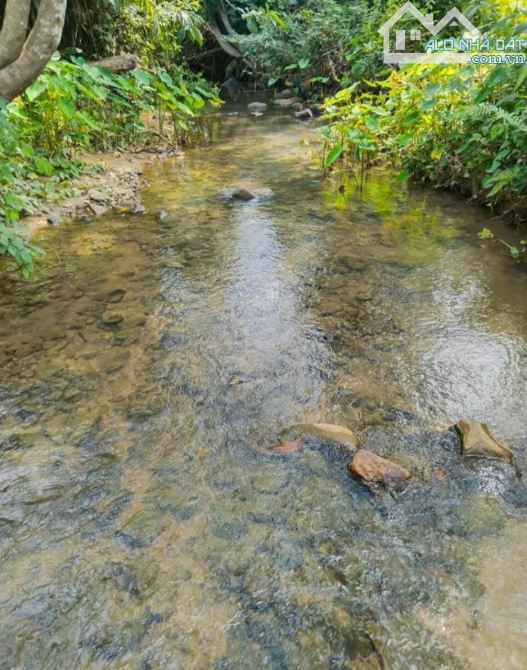 🌿 BÁN LÔ ĐẤT RỘNG 40HA TẠI LƯƠNG SƠN – NHA TRANG - 4