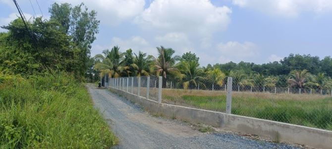 BÁN LÔ ĐẤT 1000M2- VƯỜN THƠM-BÌNH LỢI -BÌNH CHÁNH-GIỌI CHO EM XEM ĐẤT - 4