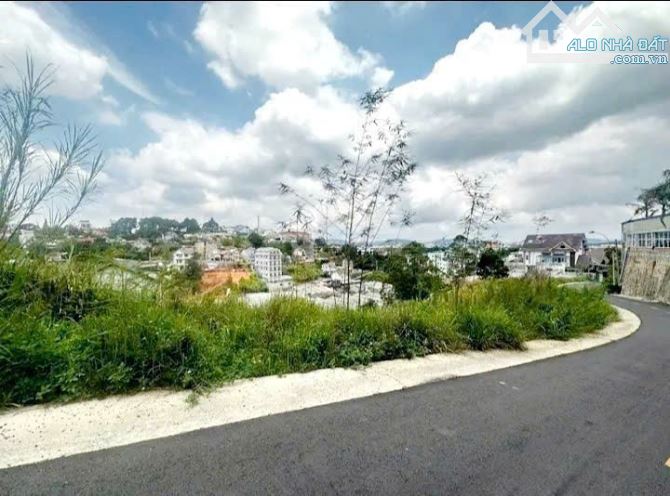 Đất biệt thự 650m2 Khu biệt thự trung tâm Tp Đà Lạt.View thung lũng_2 mặt tiền đường nhựa - 4