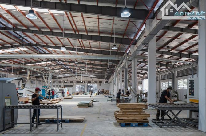Chủ bán kín lô đất mặt tiền Tỉnh Lộ 8 - Xã Trung An - Củ Chi, 8.000m2 Xưởng Công Ty - 4
