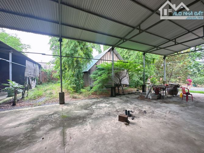 Cho thuê quỹ đất 3000m2 hố nai biên hoà thích hợp kinh doanh dịch vụ giá siêu rẻ - 5