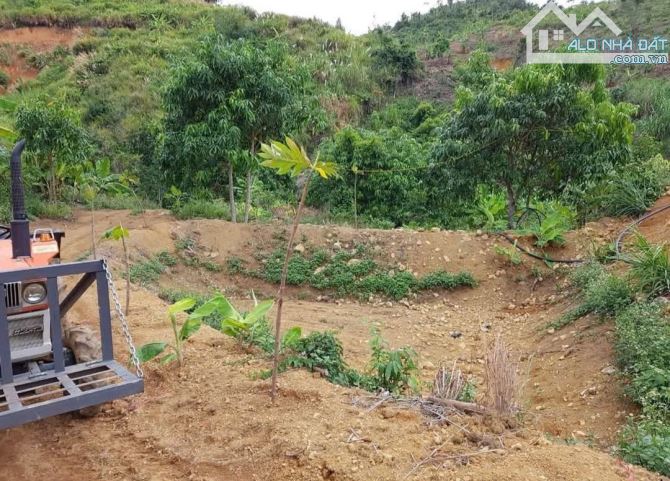 🌿 BÁN LÔ ĐẤT RỘNG 40HA TẠI LƯƠNG SƠN – NHA TRANG - 5