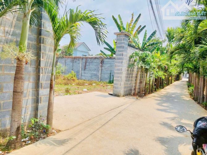 Bán Lô Đất Ngang 20M x 33M, Gần Tiểu Học Bình Hoà, Cây Xăng Phúc Lâm, Đườg DT 768 vào 200M - 5