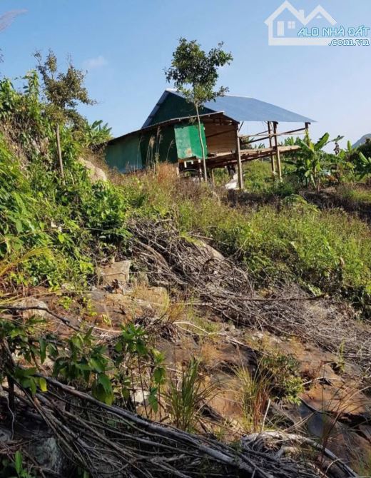 🌿 BÁN LÔ ĐẤT RỘNG 40HA TẠI LƯƠNG SƠN – NHA TRANG - 6